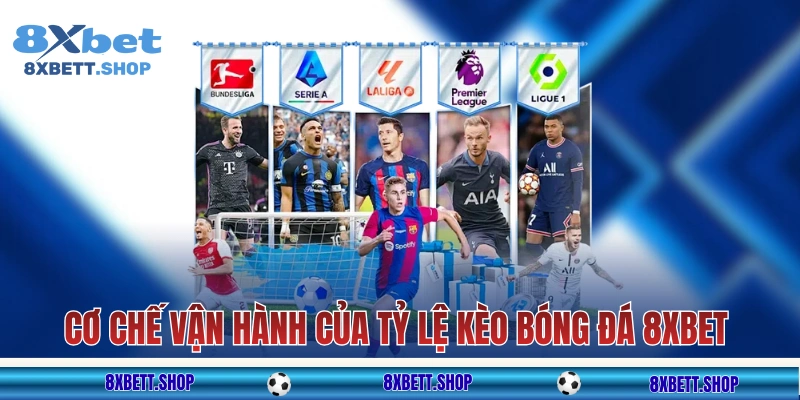 Cơ chế vận hành của tỷ lệ kèo bóng đá 8xbet